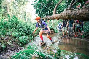 BIB: 
                            <button type="button" onclick="openModal(25514105)" class="btn btn-primary btn-sm float-right btn-popup" data-toggle="modal" data-target=".modal-high-quality">
                        <i class="fas fa-shopping-cart"></i> Add to Cart
                    </button>
                                            <button type="button" onclick="isThisMe(25514105, true)" class="btn btn-success btn-sm float-right btn-popup btn-isme hidden" data-toggle="tooltip" data-placement="bottom" title="นี่คือรูปของคุณใช่ไหม คลิกที่นี่เพื่อเอาเข้าอัลบั้ม">
                        <i class="fas fa-plus"></i> Add to album
                    </button>
                    <button type="button" onclick="isThisMe(25514105, false)" class="btn btn-warning btn-sm float-right btn-popup btn-isnotme hidden">
                        <i class="fas fa-ban"></i> Remove from album
                    </button>